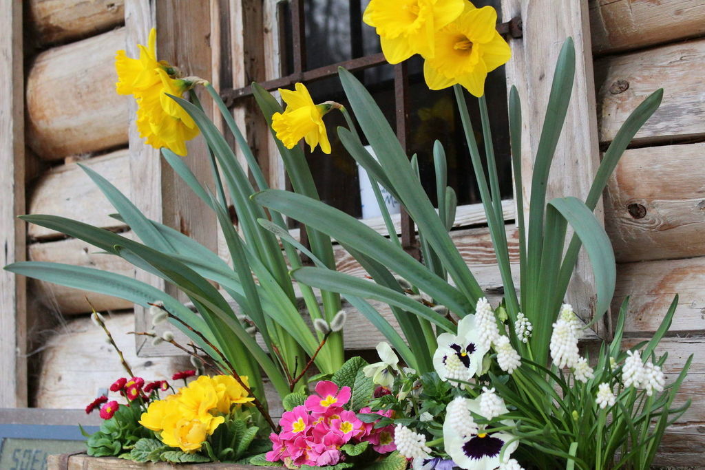 Sommer am Achensee – Bild 5