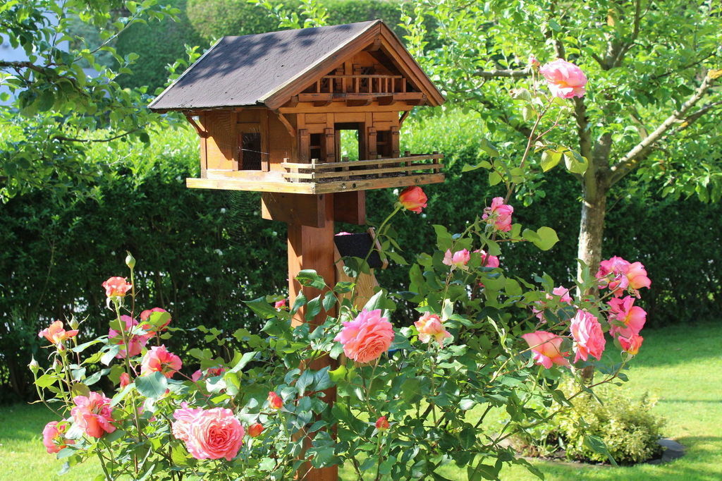 Sommer am Achensee – Bild 7