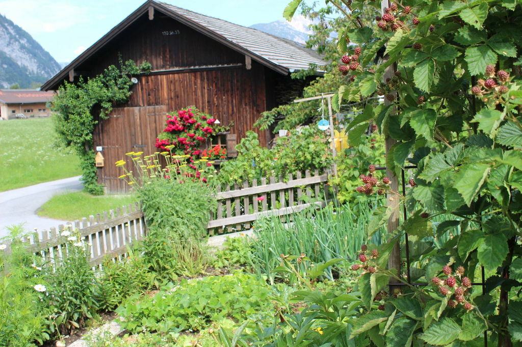 Sommer am Achensee – Bild 8